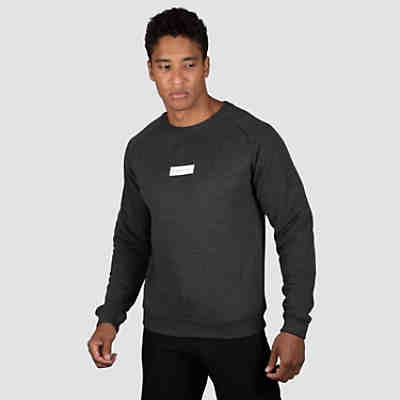 Herren Sweatshirt Small Bloc Logo Sweatshirt Sweatshirts 2