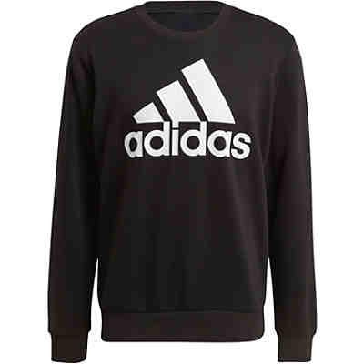 Sweatshirt Essentials