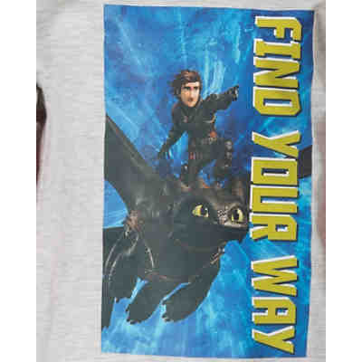 Dragons Langarmshirt für Jungen, Drachen 2