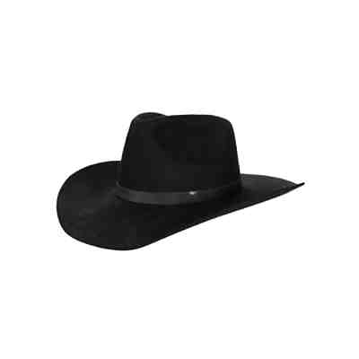 Cowboyhut 2