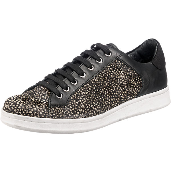 Maruti Nova Sneakers