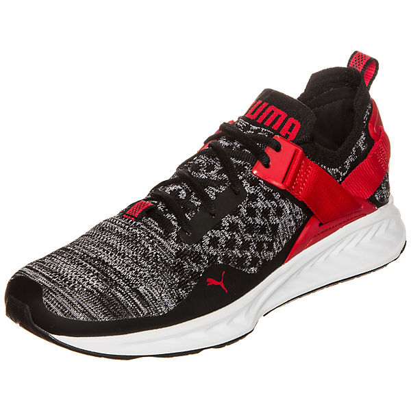 PUMA Ignite evoKNIT Lo Sneakers