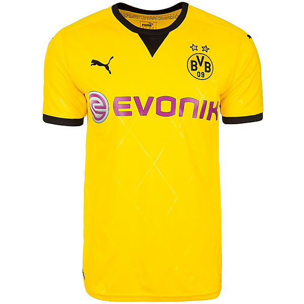 Borussia Dortmund Trikot International 2015/2016 Herren