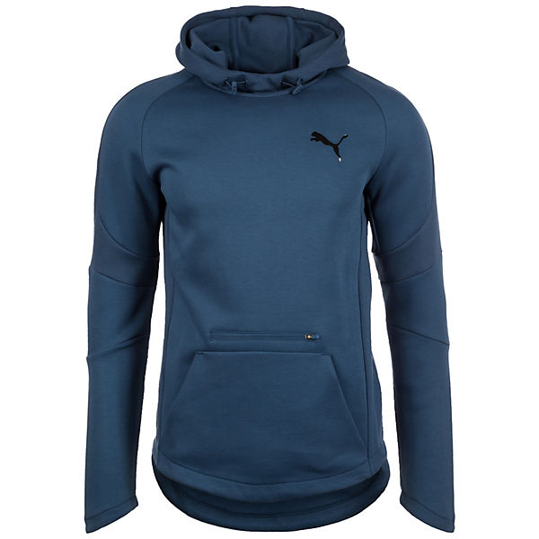 Evostripe Move Trainingskapuzenpullover Herren