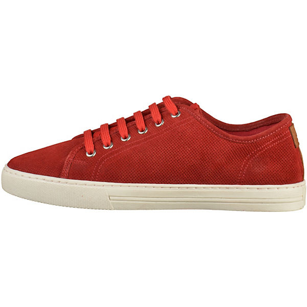 Sneakers Low