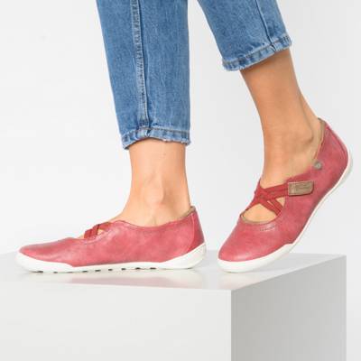 Klassische Ballerinas 2