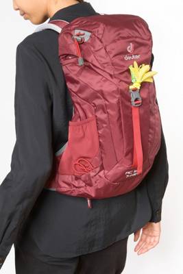 AC Lite 14 SL Wanderrucksäcke 2