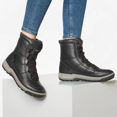 ecco trace lite black