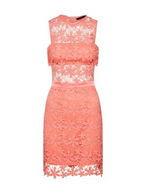 MISSGUIDED cocktailkleid daisy coral Cocktailkleider