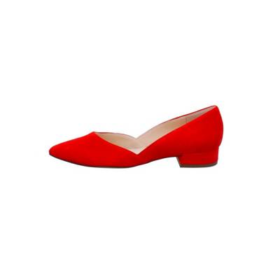 Pumps rot 2