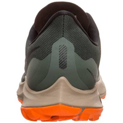 Air Zoom Pegasus 36 Trail GTX Laufschuh Herren 2