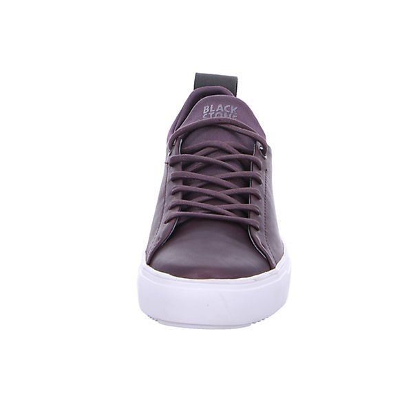 Schuhe Sneakers Low Blackstone Sneaker Sneakers Low lila