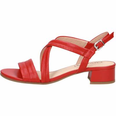 Sandale Klassische Sandalen 2