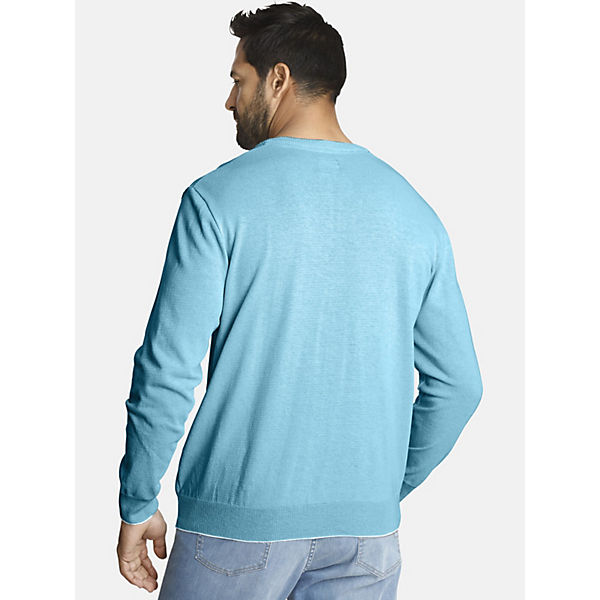 Bekleidung Pullover & Strickjacken JAN VANDERSTORM Pullover LINDOMAR Pullover türkis