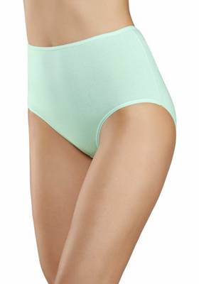 Taillenslip (10 Stück) Slips 2