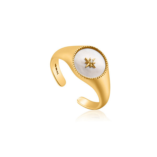 Accessoires Ringe ANIA HAIE Ring gold