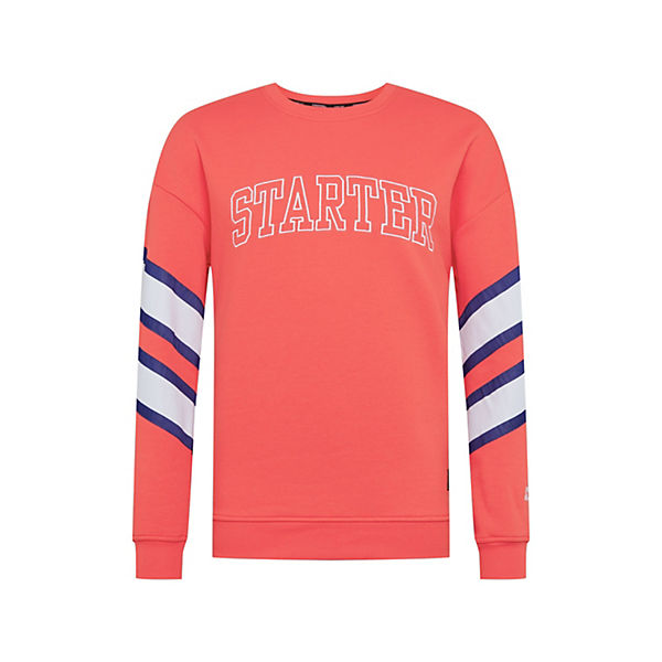 Bekleidung Sweatshirts STARTER® BLACK LABEL STARTER BLACK LABEL sweatshirt starter team Sweatshirts rosa