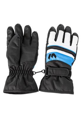 Whistler Skihandschuhe schwarz