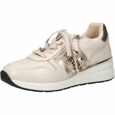 Sneaker Sneakers High