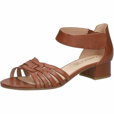CAPRICE Caprice Sandalette Klassische Sandalen braun