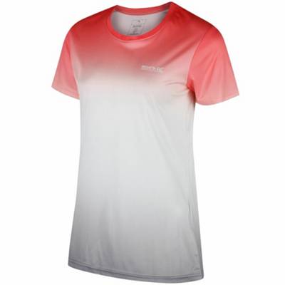 Regatta Fingal III Damen T-Shirt Funktionsshirt Wandershirt Running Outdoor 