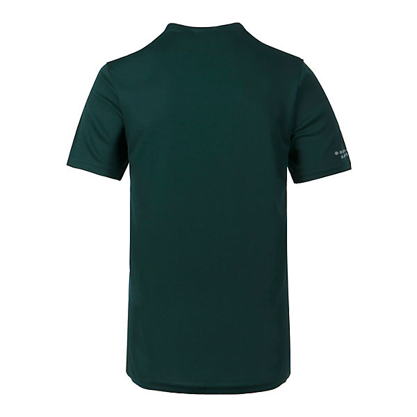 Bekleidung T-Shirts Endurance ENDURANCE Funktionsshirt dunkelgrün