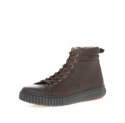 PIUS GABOR Pius Gabor Sneaker high braun