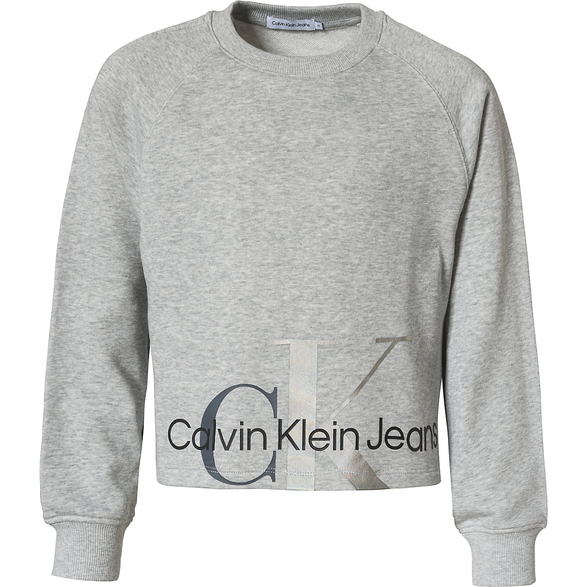 CALVIN KLEIN JEANS Sweatshirt für Mädchen grau