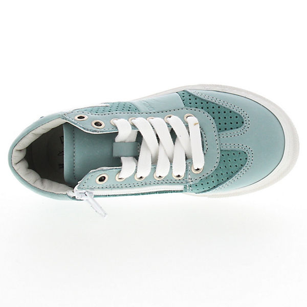 Schuhe Sneakers Low Däumling Sneaker Berno für Mädchen grün Schuhe Sneakers Low Däumling Sneaker Berno für Mädchen grün
