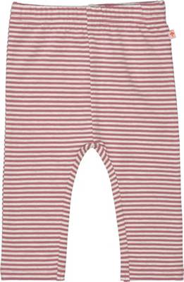 STACCATO Baby Leggings für Mädchen rot Mädchen Gr. 74