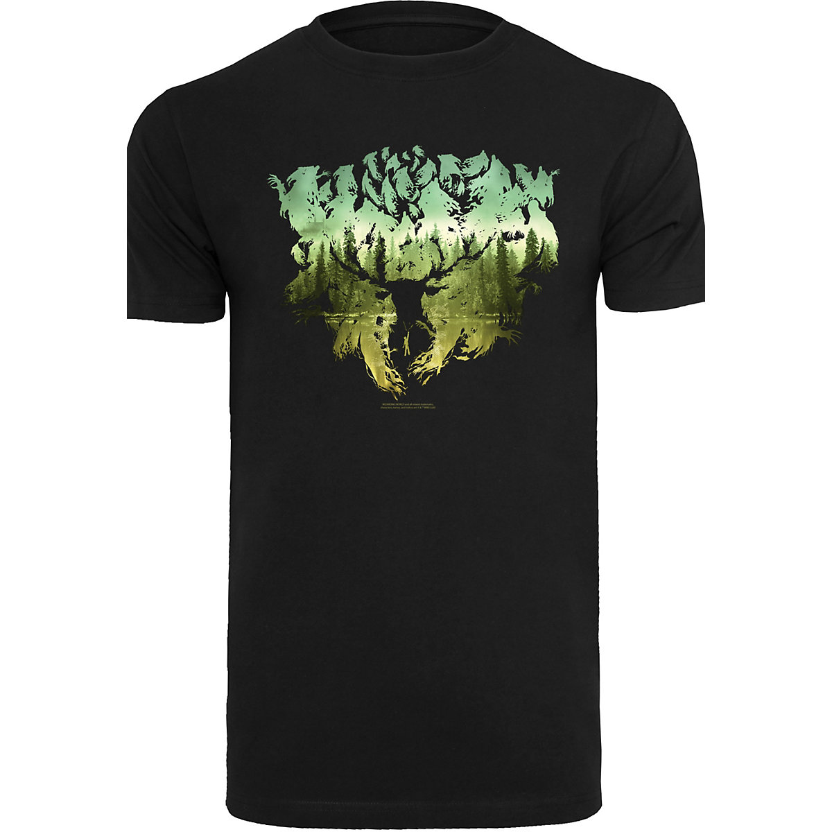 F4NT4STIC Harry Potter Magical Forest T-Shirts schwarz