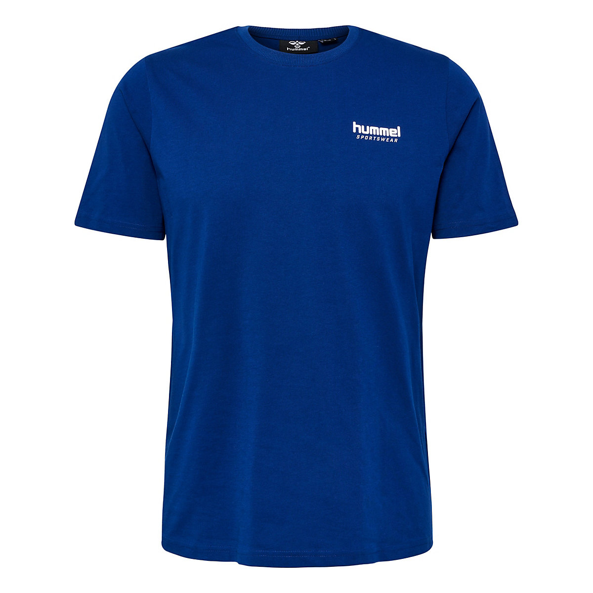 hummel hmlLGC GABE T-SHIRT T-Shirts blau