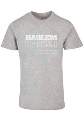 F4NT4STIC Harlem TEE UNISEX T-Shirts grau