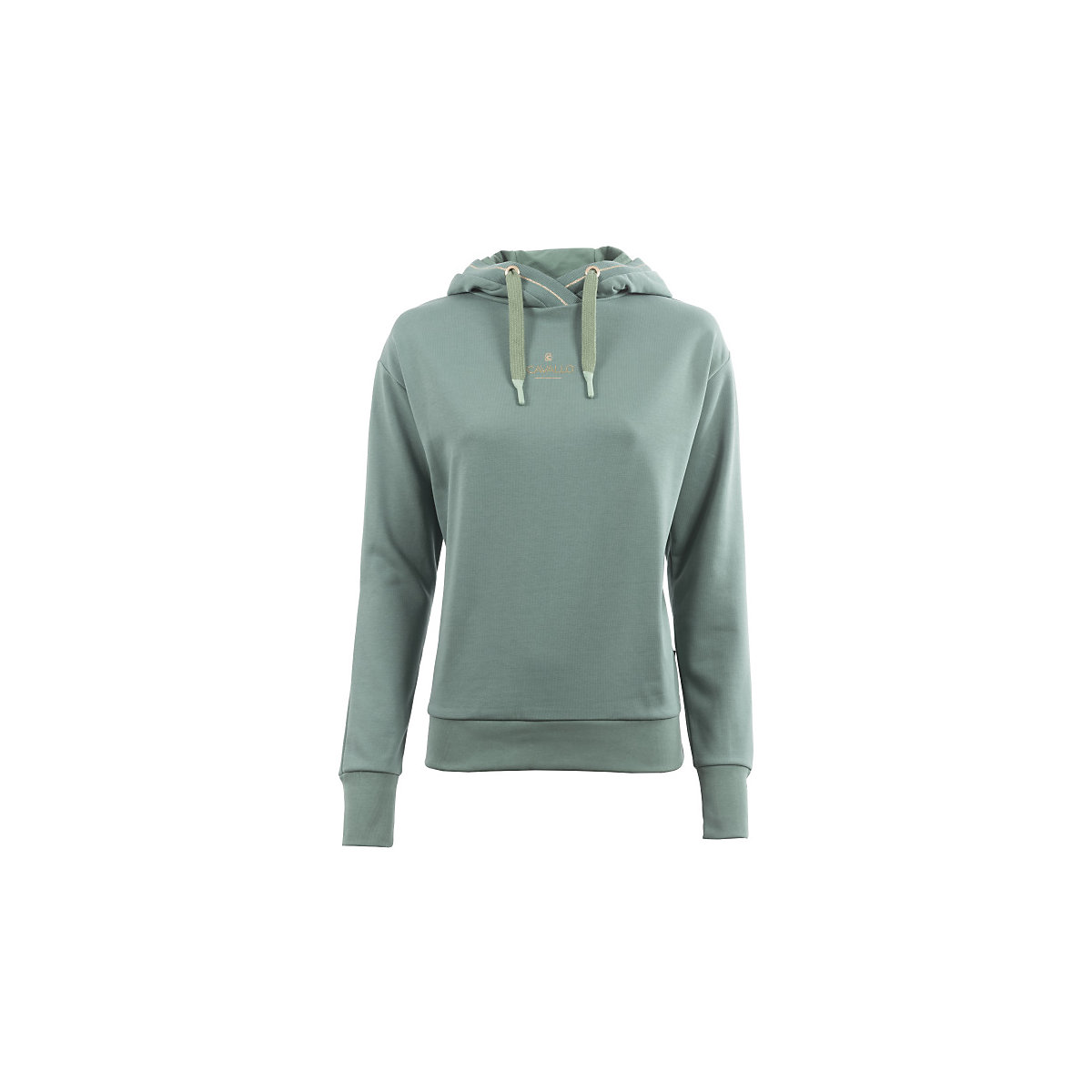 Cavallo Cavallo FILIPPA Lässiges Damen Sweatshirt sea green Sportswear FS 23 40 grün Cavallo Cavallo FILIPPA Lässiges Damen Sweatshirt sea green Sportswear FS 23 40 grün