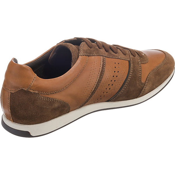 Geox Clemet Geox Low Cognac Sneakers Clemet YBqWEZ5w