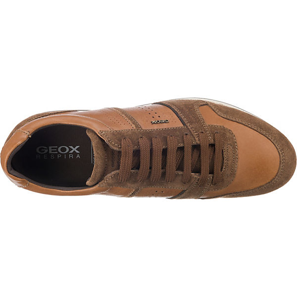 Geox Clemet Geox Low Cognac Sneakers Clemet YBqWEZ5w