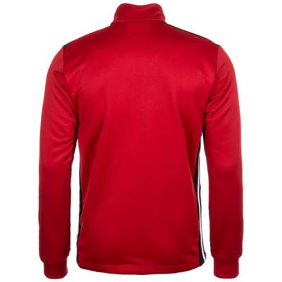 Regista 18 Trainingsjacke Herren 2