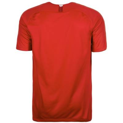 Nike Polen Trikot Away WM 2018 Herren 2