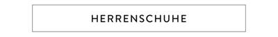 Herrenschuhe